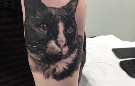 Cat Tattoos  The Ink Factory